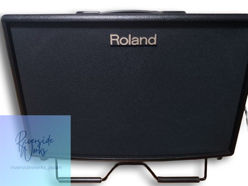 Roland acoustic chorus 90 - acoustic, ac-90