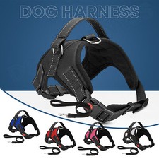 Harnais Pour Chien Ajustable Réfléchissant Rembourré De Sécurité Sans Traction