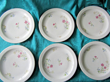 6 assiettes plates en