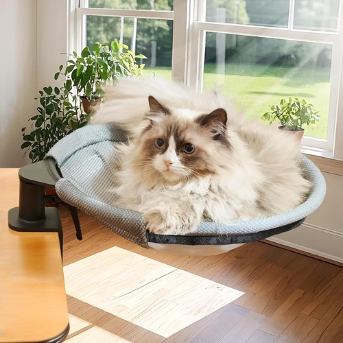 Lit bureau chat - chat, rotation