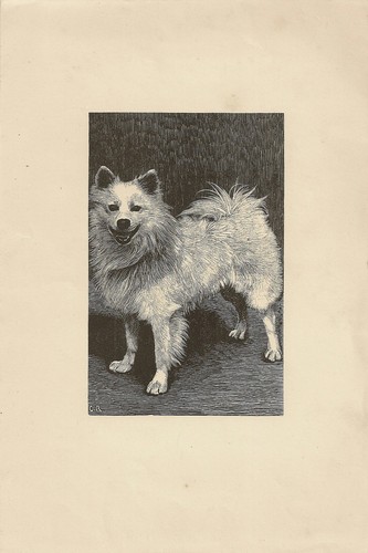 Image lithographie - image,