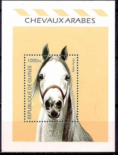 Guinée 1995 cheval - 1995, animaux