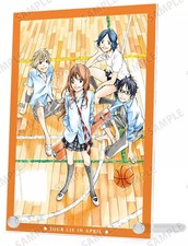 Support acrylique/collection panneau acrylique (gymnase/basket)...