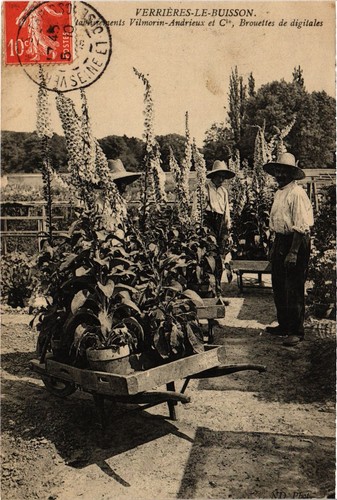 Cpa verrieres buisson etabl - cpa, verrieres-le-buisson