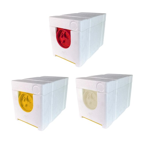 Reine des abeilles élevage - reine,