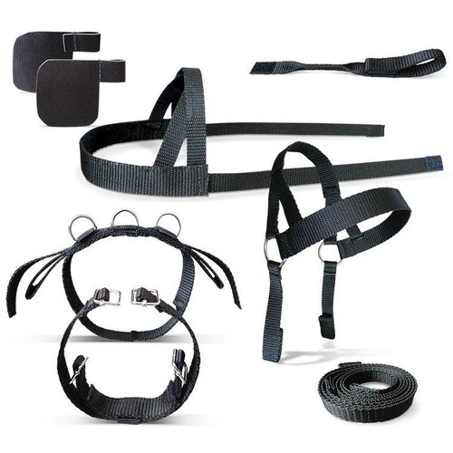 Crafty ponies harnais - ponies,
