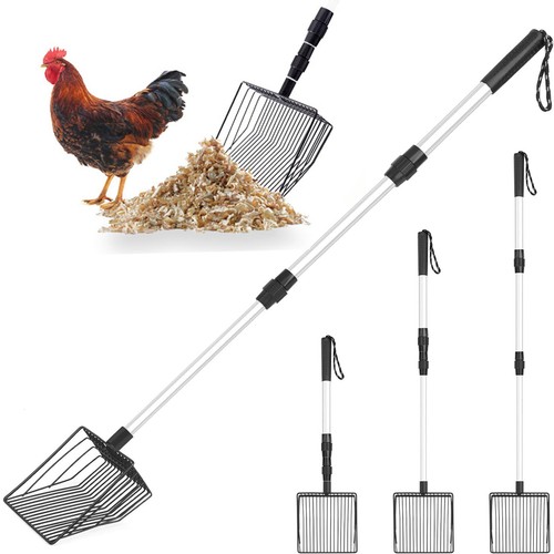 Pelle crottes poule - à, de