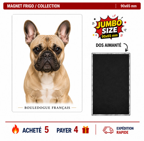 Magnet bouledogue francais - , v2
