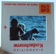 Diapositive d'agence (Slide) Brigitte BARDOT à Saint-Tropez Setters DIAPO