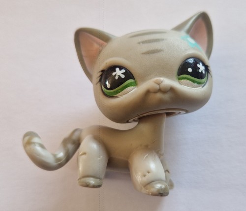 Petshop european cat - petshop, 483