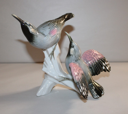Grand groupe couple oiseaux - groupe,