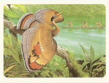 Disney: Animal Collection Sheet Mickey's Diary .No115 THE SUN CAURAL