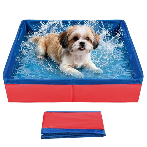 Piscine chien petite pliable - petite,