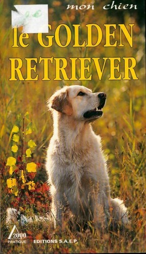 Golden retriever - retriever,