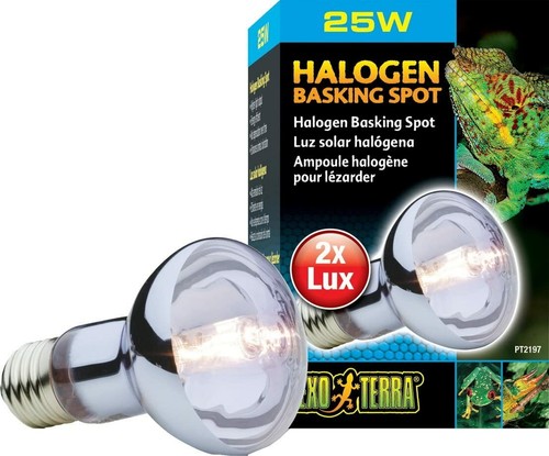 Exo terra exoterra éclairage - terra,