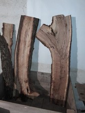 planche de chene brut clair