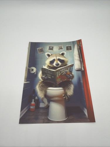 Poster raccoon toilet funny - , a5