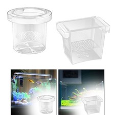 Boîte d'élevage transparente