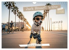 Jack Russel Active (Calendrier