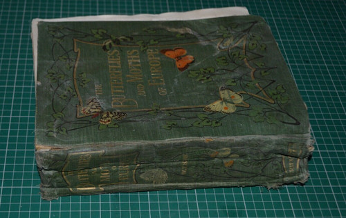 The butterflies and moths - butterflies,