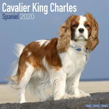 Calendrier 2020 - CAVALIER
