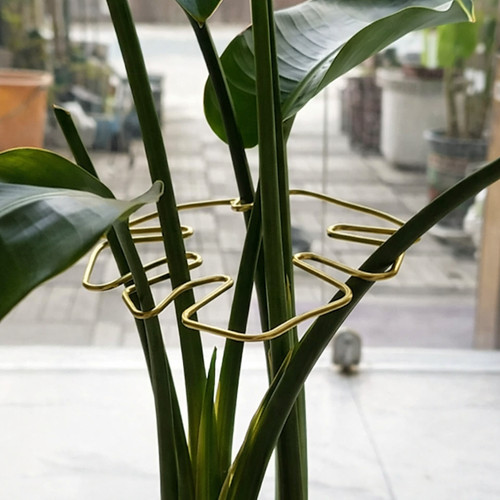 Support suspendu pour plantes