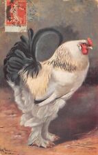 Postcard fantasy representing a rooster