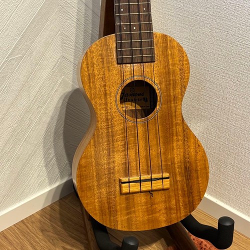 Famous ukulele body - famous,