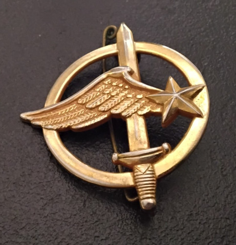 Insigne militaire béret - insigne,