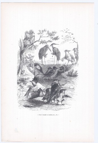 Animaux savants granville - granville, 1842