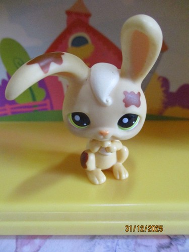 Petshop lapin garenne 972 - lapin, de
