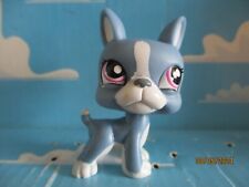 PETSHOP DOG BOSTON TERRIER N°1025