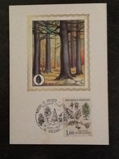 PHILATELIC CARD HETRE FAYARD - TREE - STAMP POSTMARK - 5654