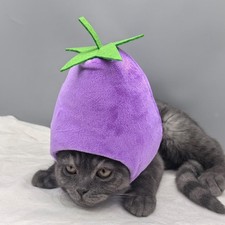 Chapeau aubergine pour chat