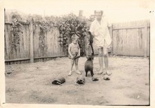 OLD PHOTO GUIANA 1950 SURROUNDINGS OYAPOCK IN YARD MONKEY MARCASSIN TURTLES