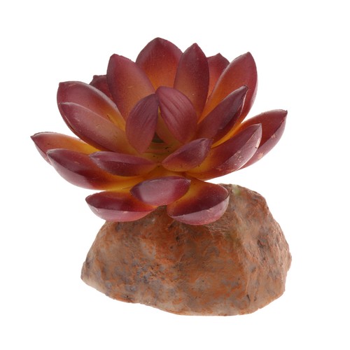 Terrarium faux multi - terrarium,