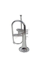 Instrument De Musique Indien