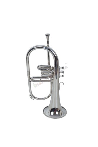 Instrument musique indien - instrument,