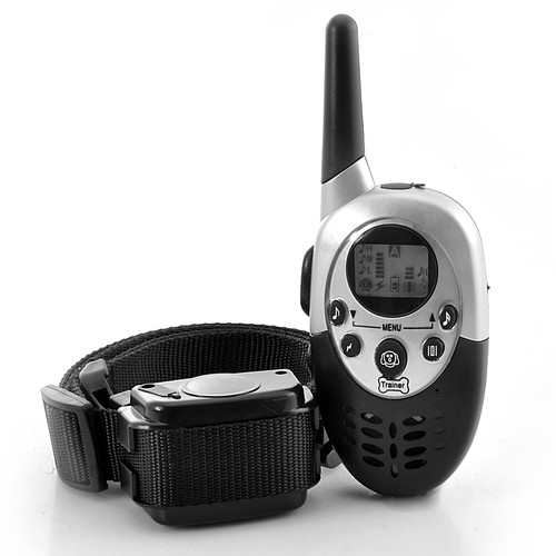 Collier dressage electrique - dressage,