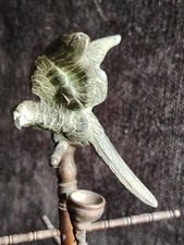 Joli Baguier Au Perroquet