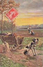 CP ILLUSTRATED DOG HITCH CAT CART - FARMERS FORK - 39697