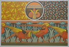 Coccinelle faisans Iris