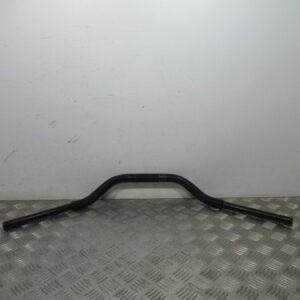 Guidon regal raptor daytona - guidon,