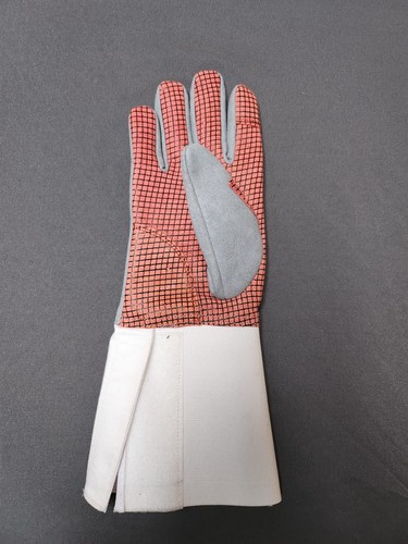 Foil and epee - foil, fencing