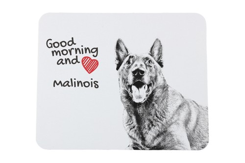 Malinois chien berger - berger, belge