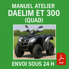 Manuel Atelier Daelim ET 300