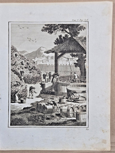 Gravure 1798 vinification - /,