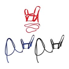 Harnais pour cheval ajustable