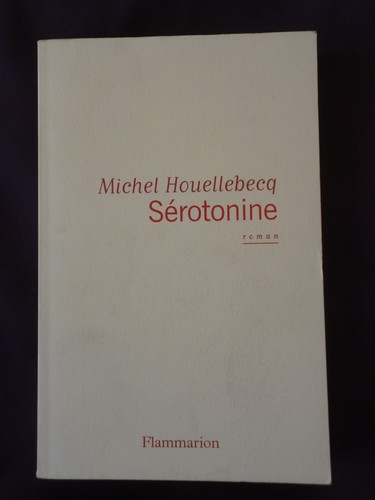 Michel houellebecq livre - michel,