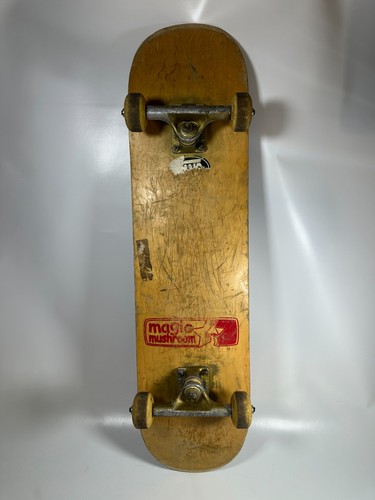 Skateboard magic mushroom - skateboard,